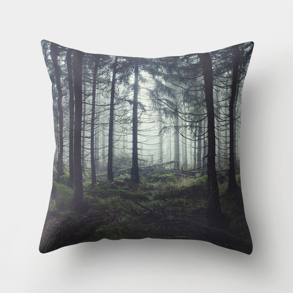 Art Pillow Cover