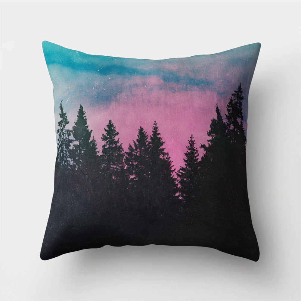 Art Pillow Cover